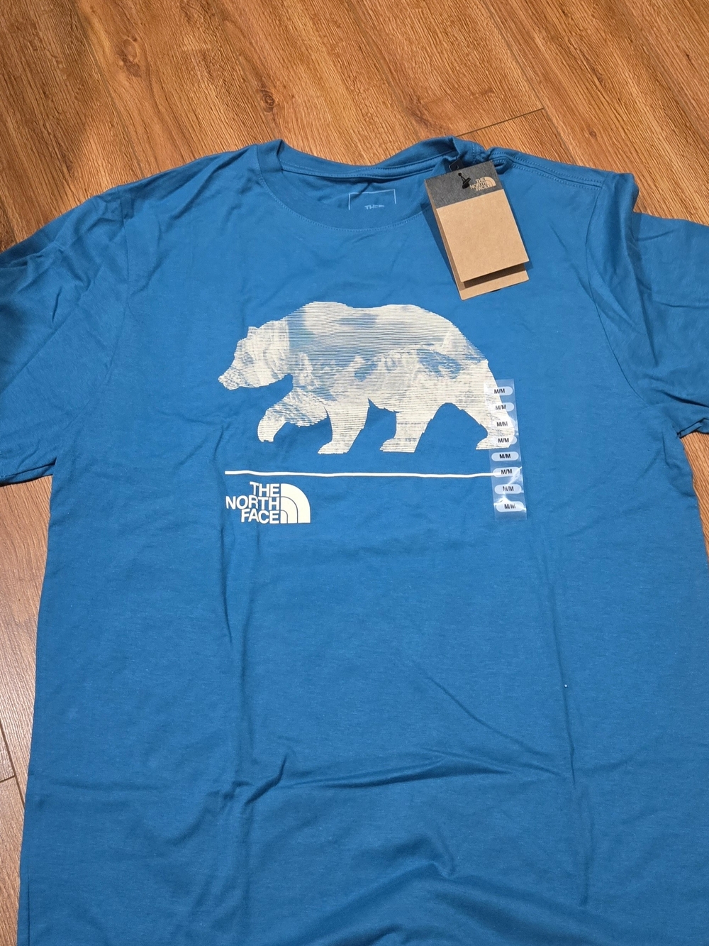The North Face Men's Teal Blue Bear Graphic Tee